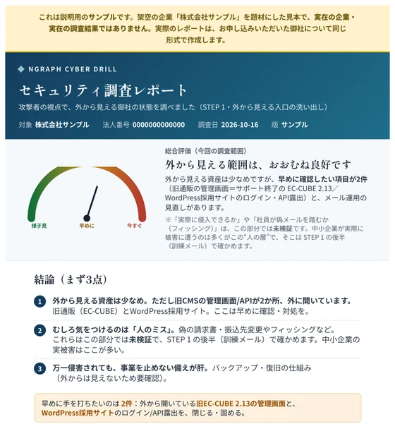 報告書の見本の1ページ目。総合評価のメーターと、結論3点、確認を優先したい項目の件数が並んでいる